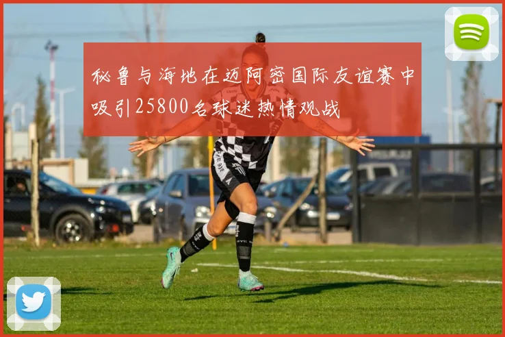 秘鲁与海地在迈阿密国际友谊赛中吸引25800名球迷热情观战
