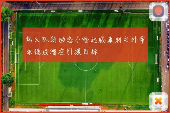 热火队新动态小哈达威康利之外希尔德成潜在引援目标